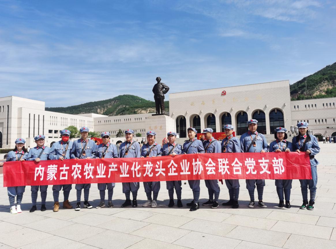 內(nèi)蒙古農(nóng)牧業(yè)產(chǎn)業(yè)化龍頭企業(yè)協(xié)會(huì)聯(lián)合黨支部赴延安革命圣地開(kāi)展“學(xué)黨史、感黨恩、跟黨走”主題黨日活動(dòng)
