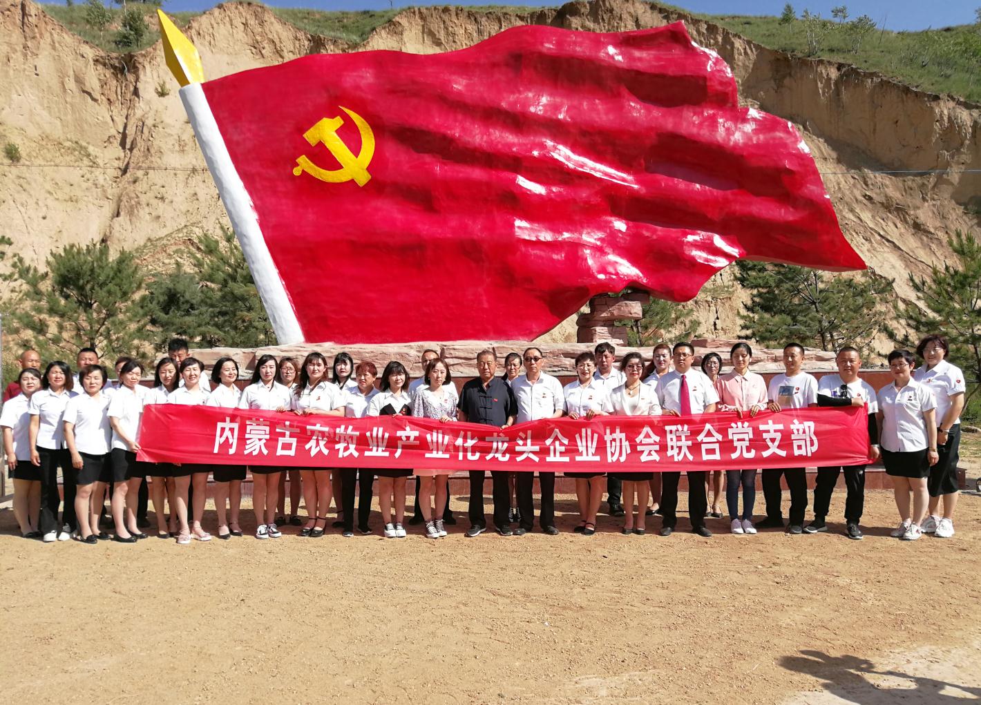內(nèi)蒙古農(nóng)牧業(yè)產(chǎn)業(yè)化龍頭企業(yè)協(xié)會(huì)走進(jìn)石人灣村開(kāi)展“辦實(shí)事、解難題，送溫暖，傳黨恩”公益活動(dòng)